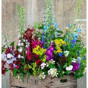 Meet your Posher, Marilyn